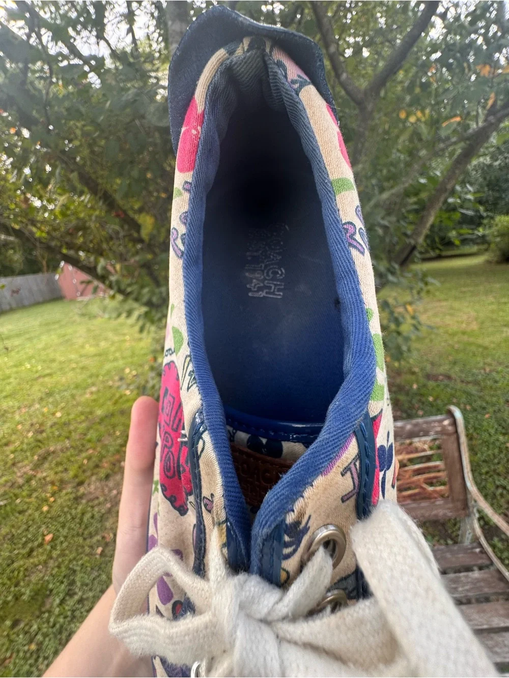 Coach low top